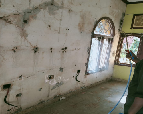 Pest Control Services in Mount Road