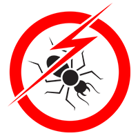Termite Control Services